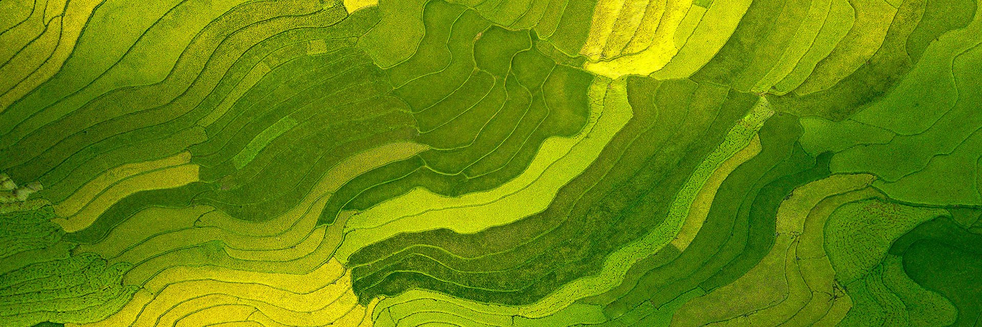 SEI-our-story-field